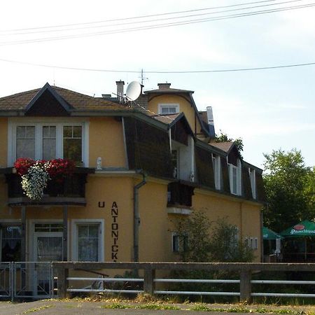 Penzion U Antonickova Pramene Mariánské Lázně Exterior foto